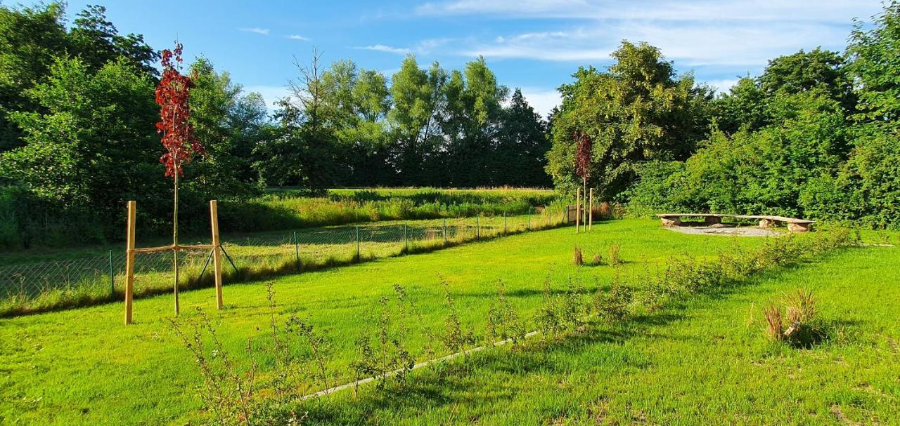 Ferienhaus Rotdorn Wiek auf Rügen Zewnętrze zdjęcie